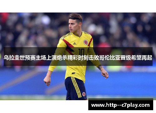 乌拉圭世预赛主场上演绝杀精彩时刻击败哥伦比亚晋级希望再起